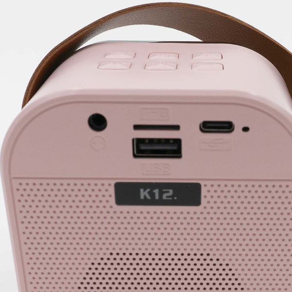 רמקול קריוקי K12 זוגי מעוצב