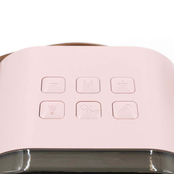 רמקול קריוקי K12 זוגי מעוצב