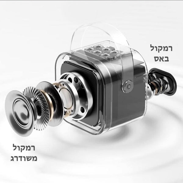 רמקול קריוקי K12 זוגי מעוצב
