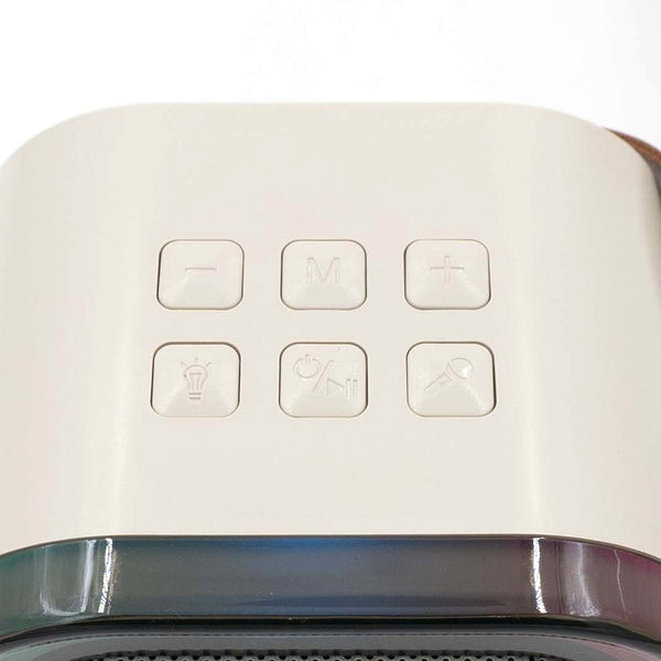 רמקול קריוקי K12 זוגי מעוצב