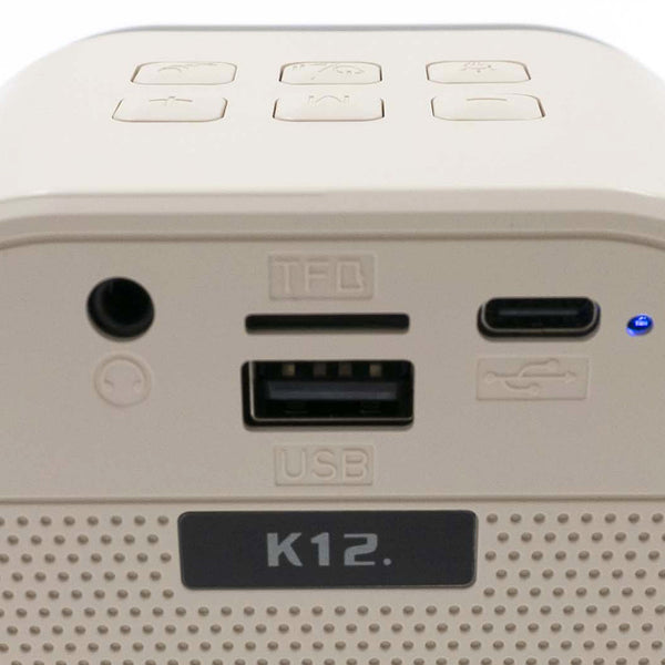 רמקול קריוקי K12 זוגי מעוצב