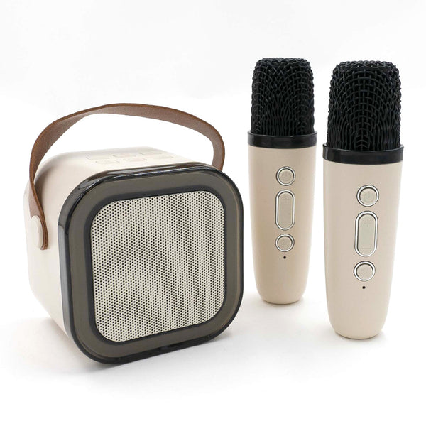 רמקול קריוקי K12 זוגי מעוצב