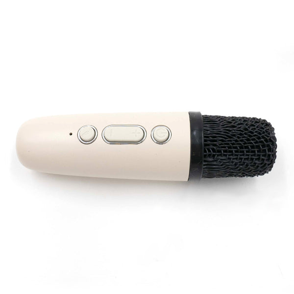 רמקול קריוקי K12 זוגי מעוצב