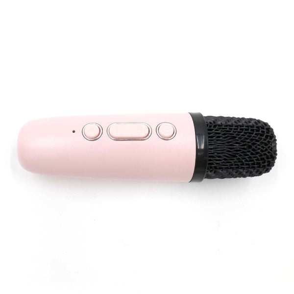 רמקול קריוקי K12 זוגי מעוצב