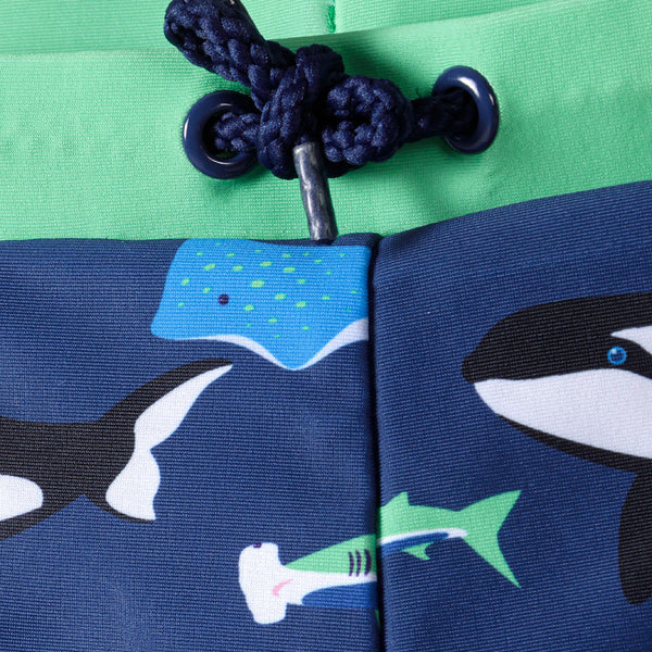 שני בגדי ים כחולים כרישים ופסים מינוטי תינוקות ופעוטים