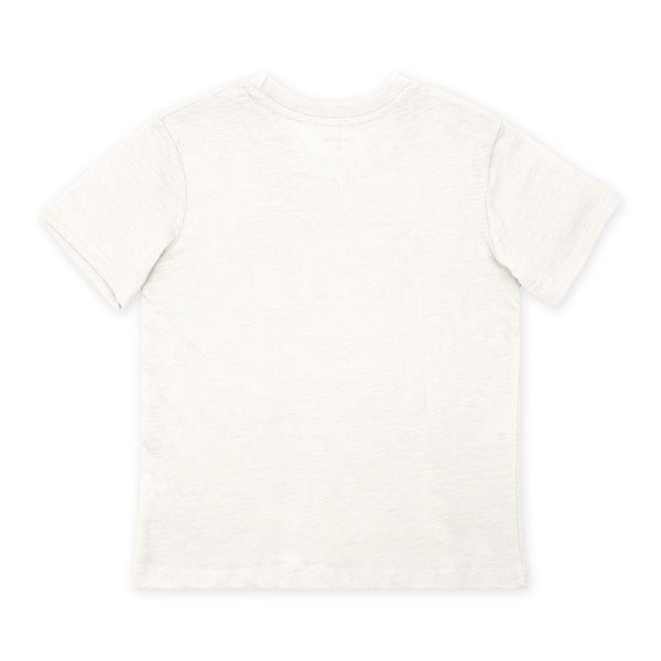 מארז 3 חולצות סלאב ירוק-אפור-קרם בנים