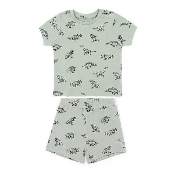 שתי פיג'מות ופל סמיילי ודינוזאורים תינוקות ופעוטים בנים