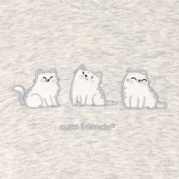 פי'גמה פוטר חתולים