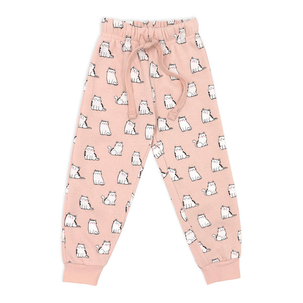 פי'גמה פוטר חתולים