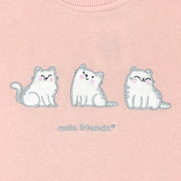 פי'גמה פוטר חתולים