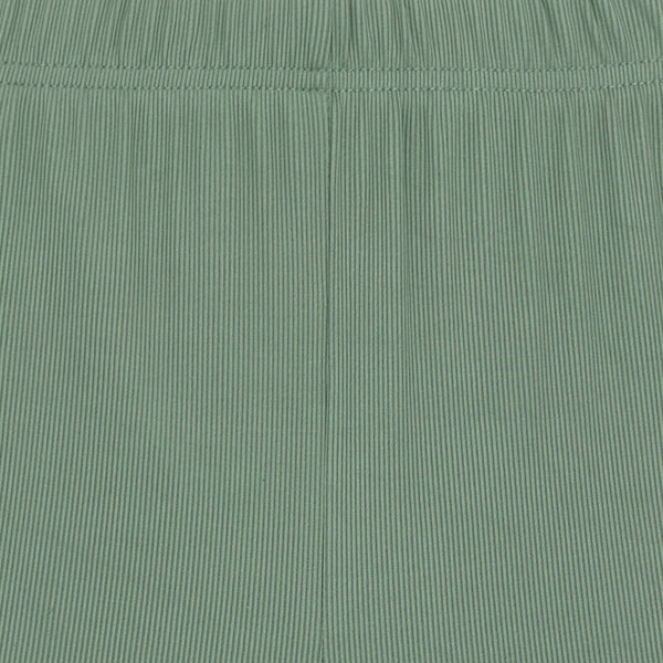 טייץ ריב ברך