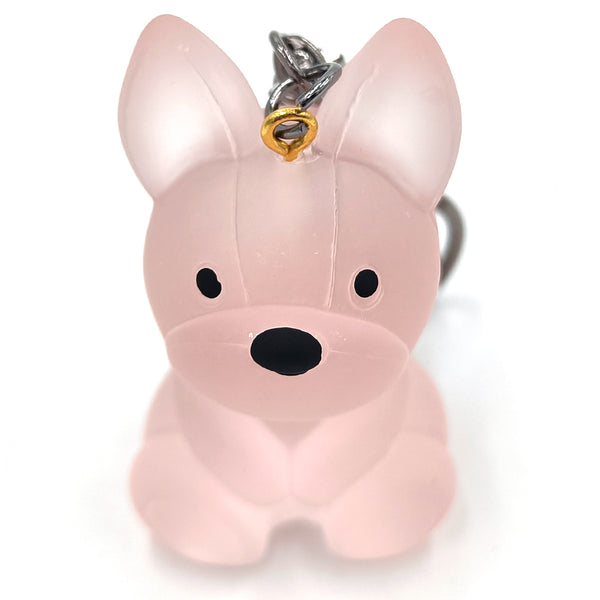 מחזיק מפתחות שקוף כלב