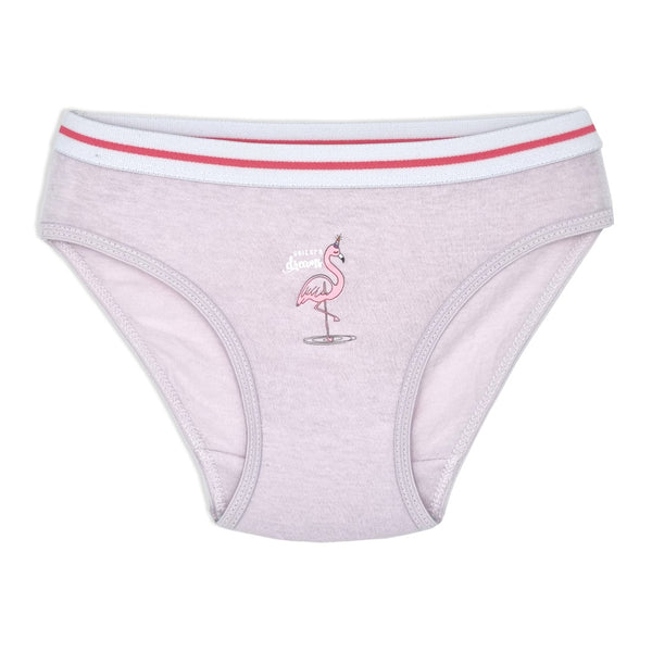 מארז 5 תחתוני כותנה מודפסים פס גומי חיצוני בנות