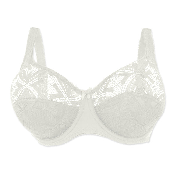 חזיית תחרה Plus Size