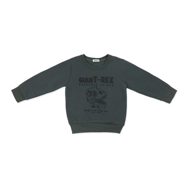 מארז 3 סווטשירטים ירוק-בז'-שחור בנים