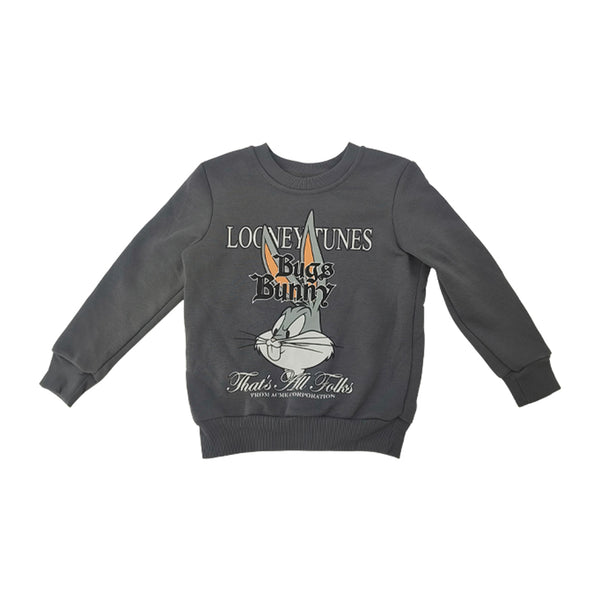 חליפת פוטר לוני טונז באגס באני