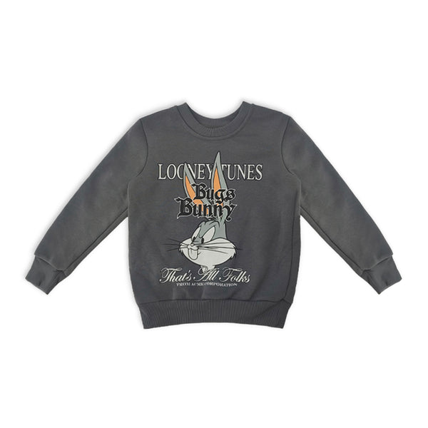 חליפת פוטר באגס באני