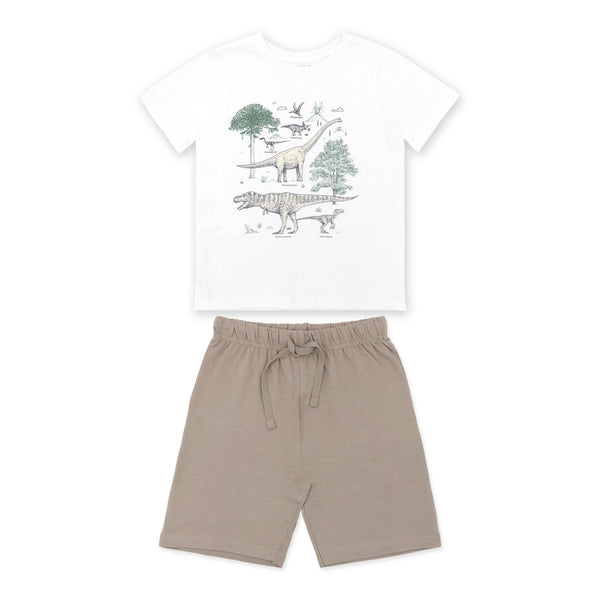 זוג חליפות מודפסות ירוקה ודינוזאורים תינוקות בנים