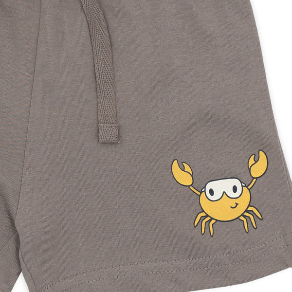 זוג חליפות הדפס ואפליקציה