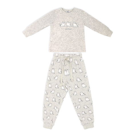 פי'גמה פוטר חתולים