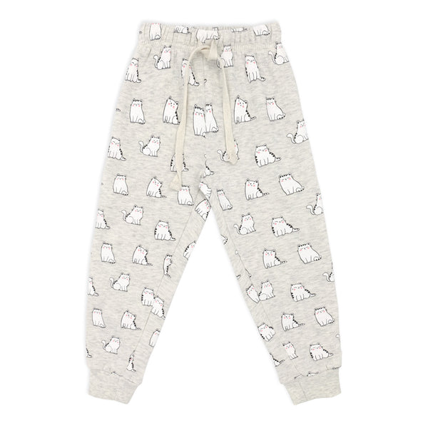 פי'גמה פוטר חתולים