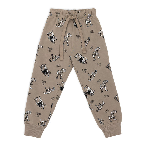 פיג'מה פוטר דינוזאורים