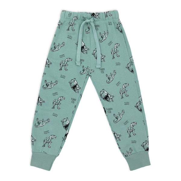 פיג'מה פוטר דינוזאורים