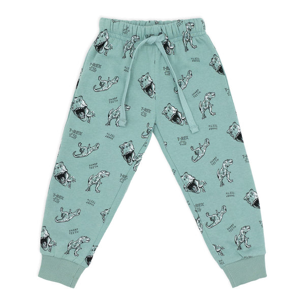 זוג פיג'מות פוטר מודפסות