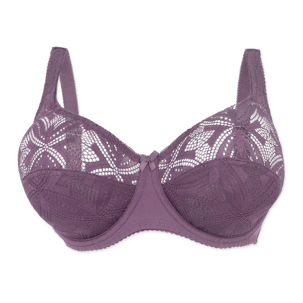 חזיית תחרה Plus Size