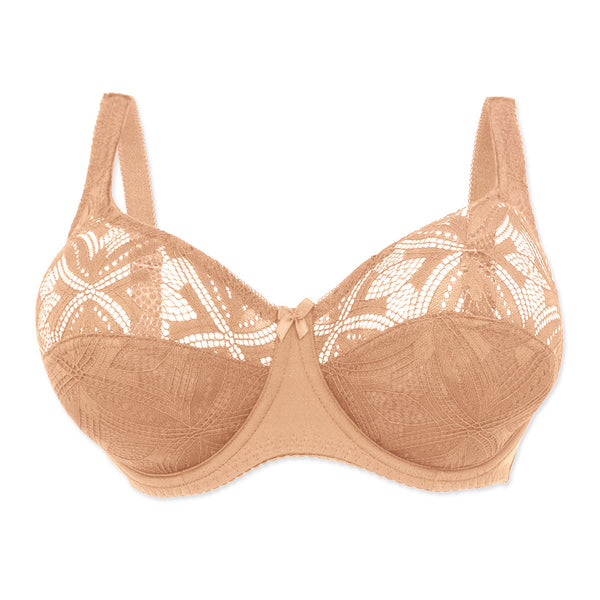 חזיית תחרה Plus Size