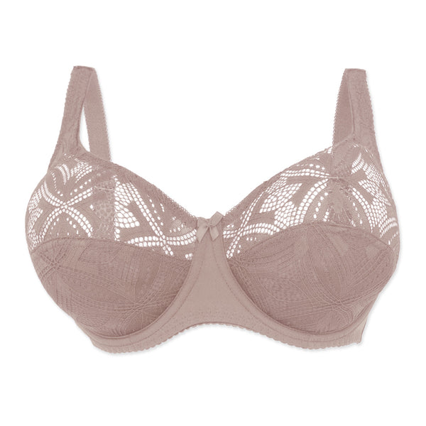 חזיית תחרה Plus Size