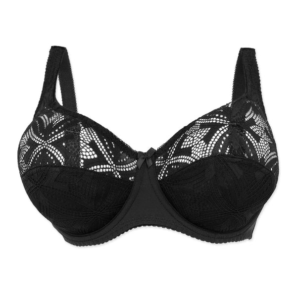 חזיית תחרה Plus Size